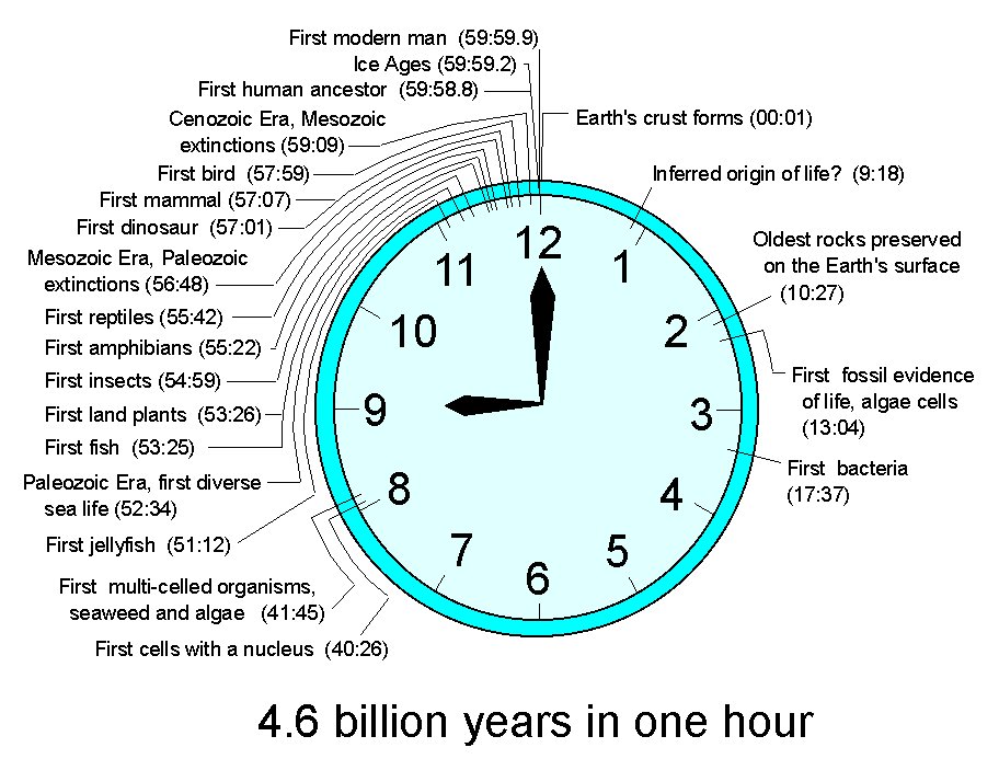 exact time clock