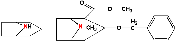 [tropane-type of pyrrolidine alkaloid]