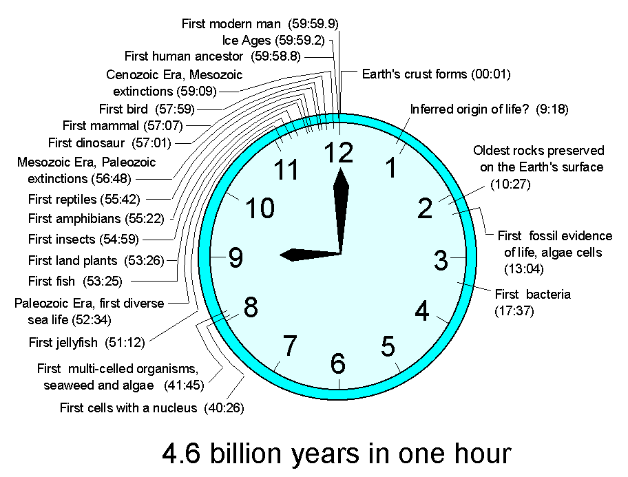 How To Know The Time In Clock At Charles Schmitt Blog