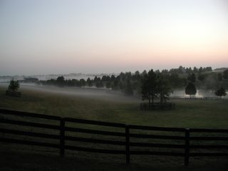 Morning on a Bluegrass horse farm