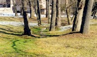 Spring seep near site of original Fort Boonesborough