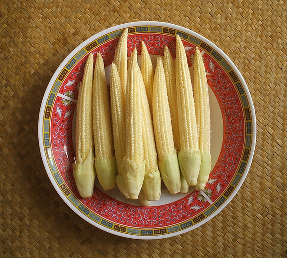 Baby corn on plate